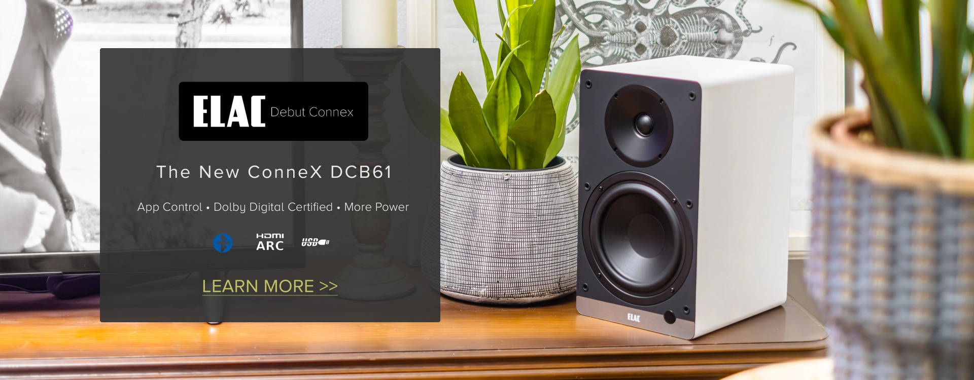 /dcb61